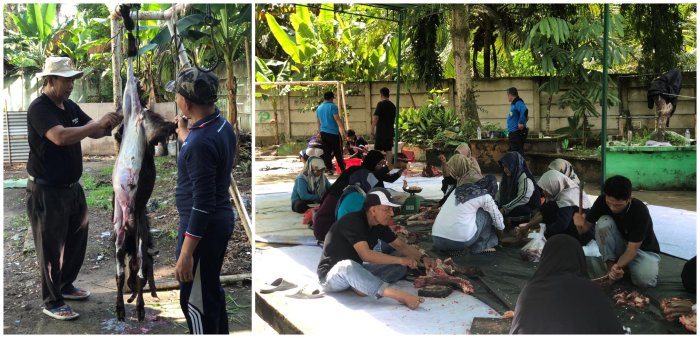 Penuh Kekeluargaan, MAN 3 Kota Jambi Gelar Kurban dan Doa Bersama di Iduladha 1447 H Penuh Kekeluargaan, MAN 3 Kota Jambi Gelar Kurban dan Doa Bersama di Iduladha 1447 H